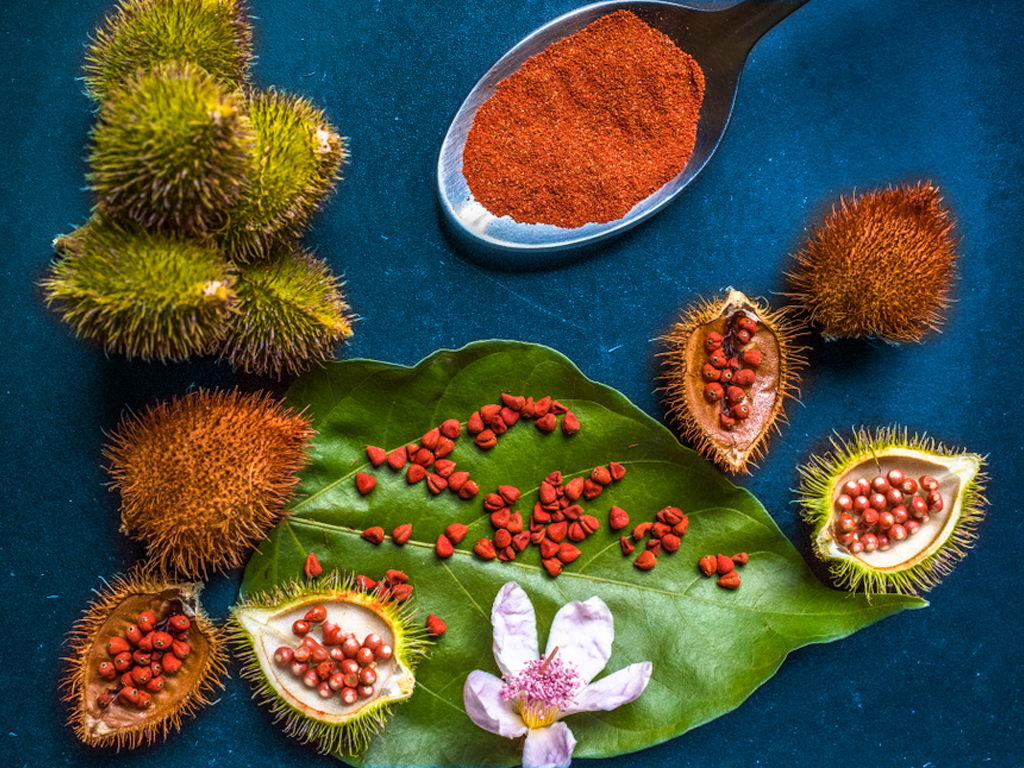 Recados, achiote y chiles: la despensa básica de la cocina yucateca.